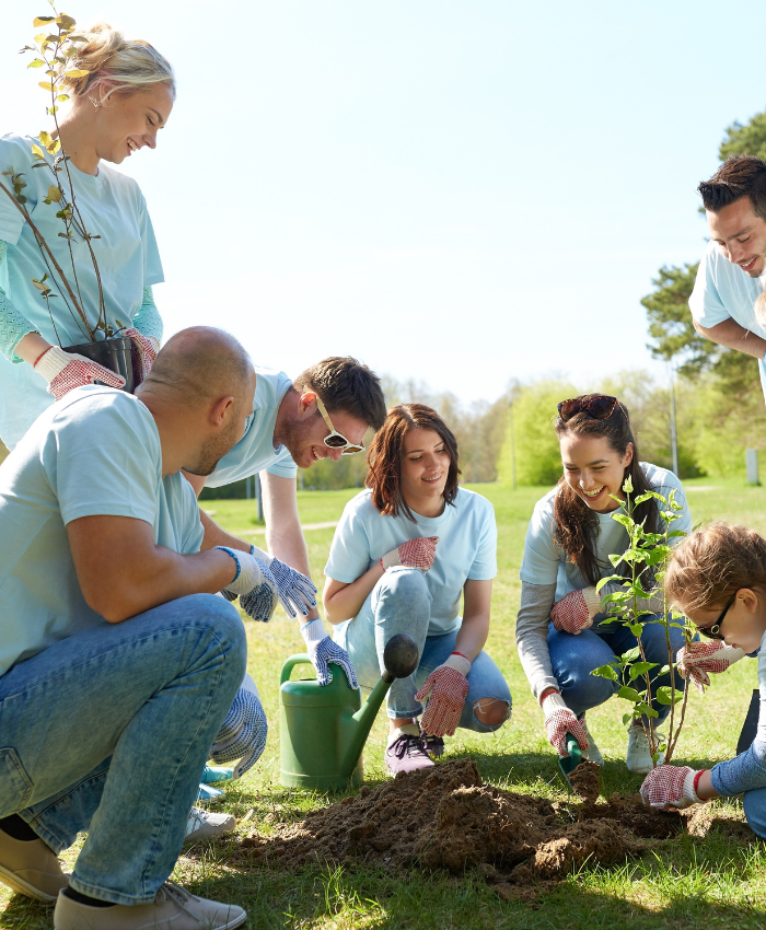 Not for Profit Legal Advice